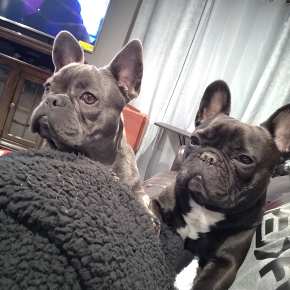 Meet your Posher, Jessica - Picture 8 of 11